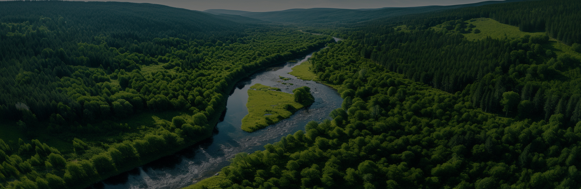 Jiaxing Dingshi เครื่องจักรการผลิต Co., Ltd.