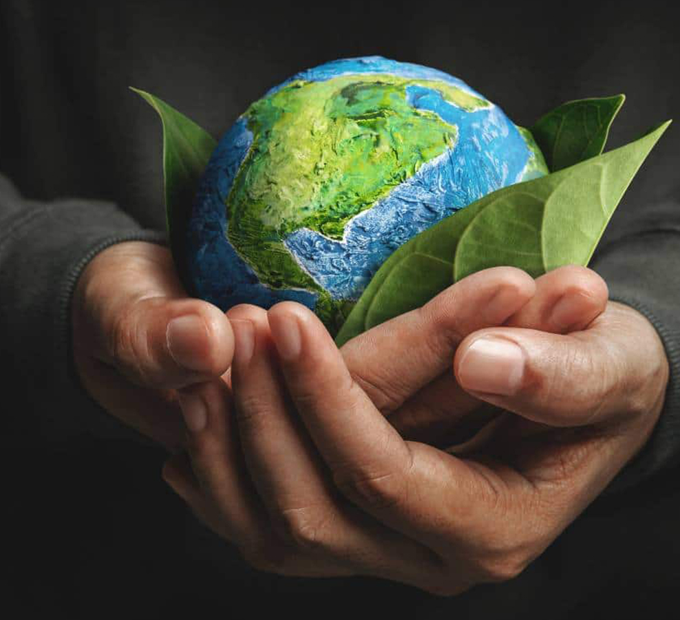 Jiaxing Dingshi เครื่องจักรการผลิต Co., Ltd.